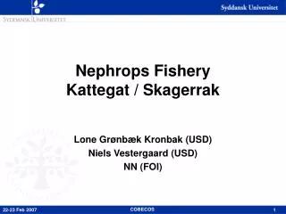 Nephrops Fishery Kattegat / Skagerrak