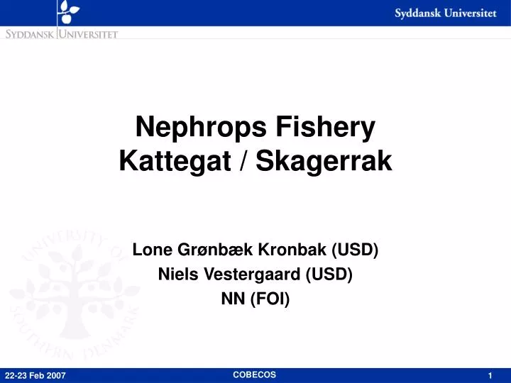 nephrops fishery kattegat skagerrak