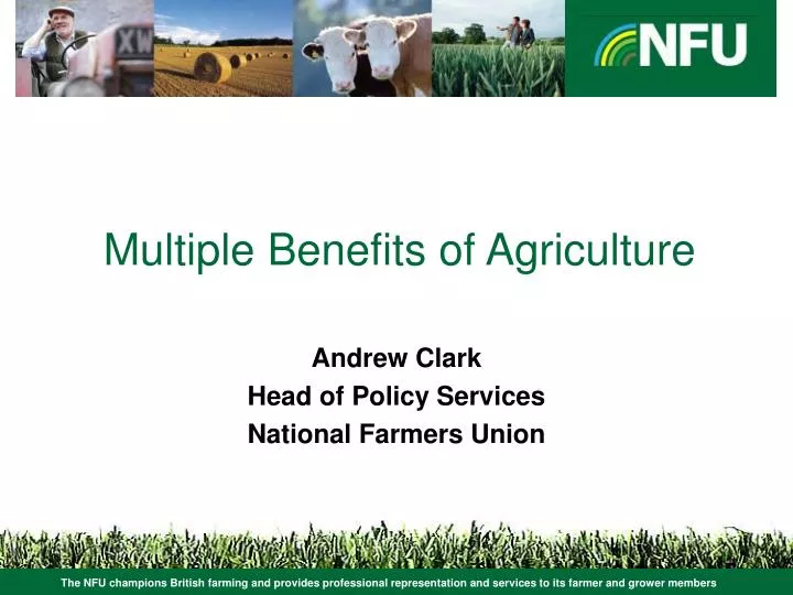 multiple benefits of agriculture