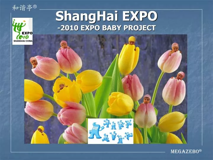 shanghai expo 2010 expo baby project