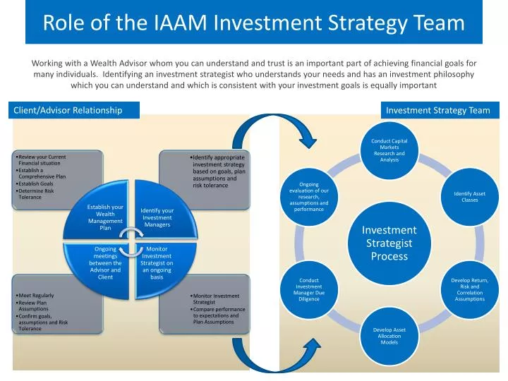 role of the iaam investment strategy team
