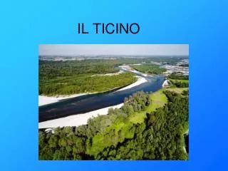 il ticino