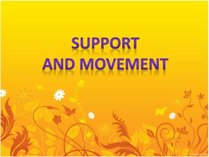 support and movement