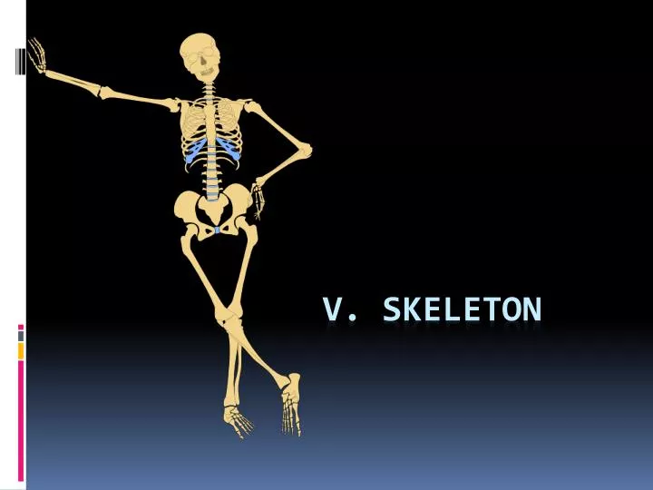 v skeleton