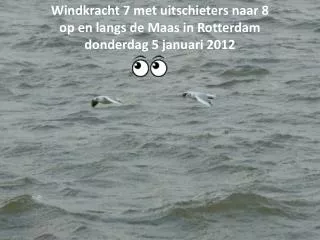 Windkracht 7 met uitschieters naar 8 op en langs de Maas in Rotterdam donderdag 5 januari 2012