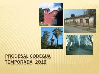 prodesal codegua temporada 2010