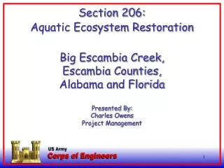 Aquatic Ecosystem Restoration Section 206 WRDA 1996, as amended