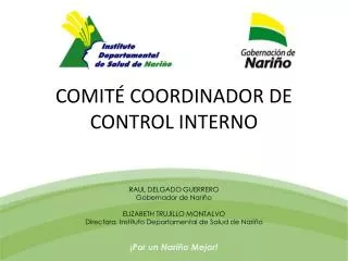 comit coordinador de control interno