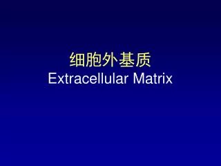 e xtracellular matrix