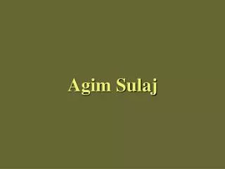 agim sulaj