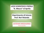 LICEO SCIENTIFICO STATALE “A. Meucci” di Aprilia - slide 1
