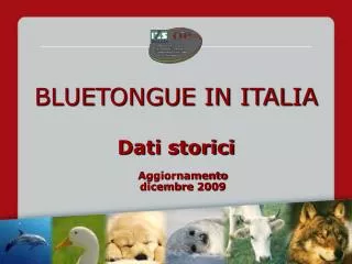 bluetongue in italia