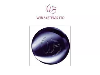 WIB SYSTEMS LTD