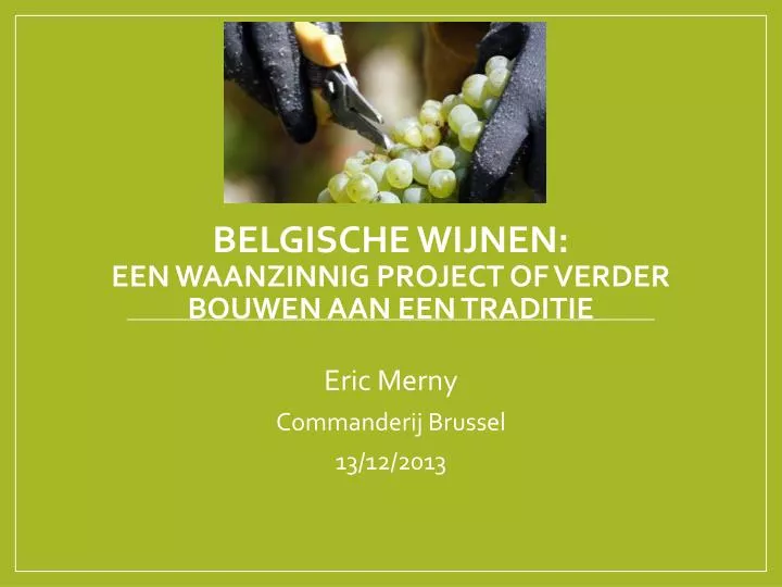 belgische wijnen een waanzinnig project of verder bouwen aan een traditie