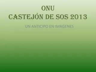 onu castej n de sos 2013