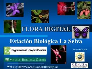 flora digital