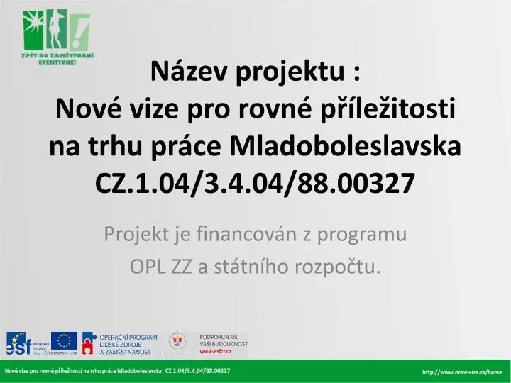 n zev projektu nov vize pro rovn p le itosti na trhu pr ce mladoboleslavska cz 1 04 3 4 04 88 00327