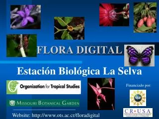 flora digital
