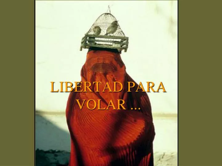 libertad para volar