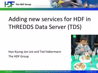 Adding new services for HDF in THREDDS Data Server (TDS)