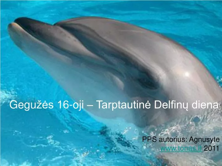 gegu s 16 oji tarptautin delfin diena