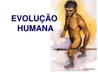 evolu o humana