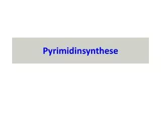 pyrimidinsynthese