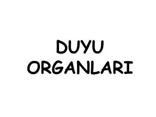 duyu organlari