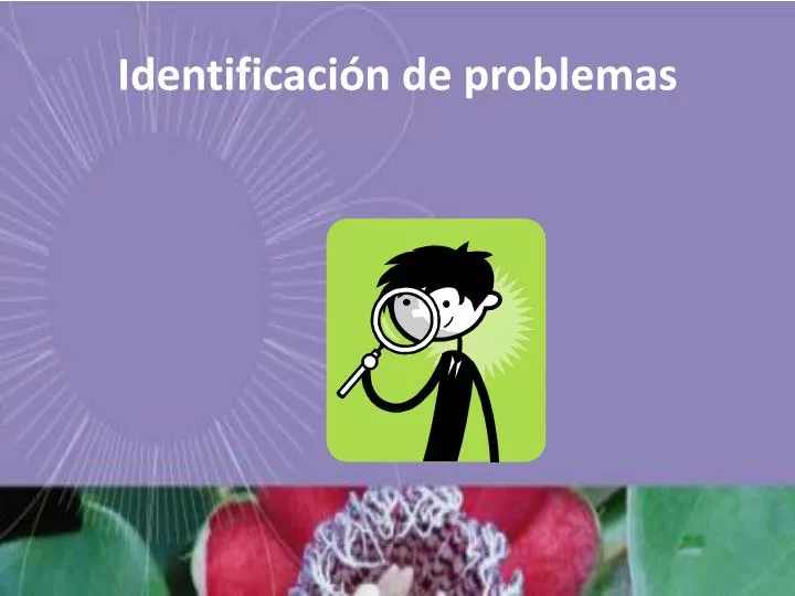 identificaci n de problemas