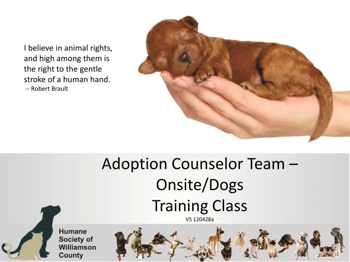 adoption counselor team onsite dogs training class v5 120428a