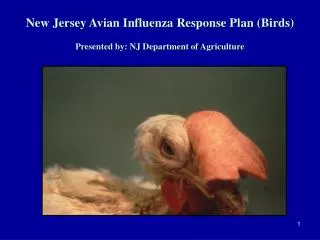 New Jersey Avian Influenza Response Plan (Birds) Presented by: NJ Department of Agriculture