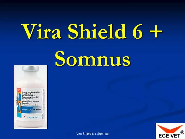 vira shield 6 somnus