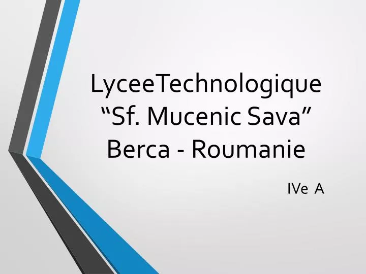 lyceetechnologique sf mucenic sava berca roumanie