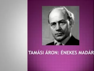 tam si ron nekes mad r
