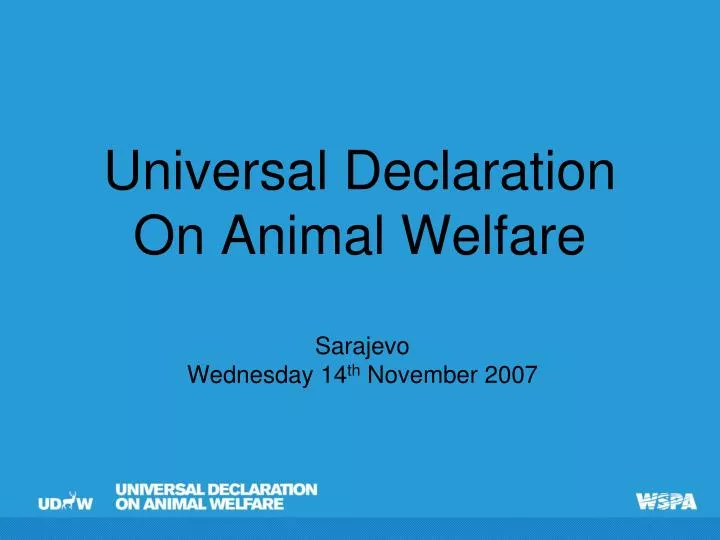 universal declaration on animal welfare