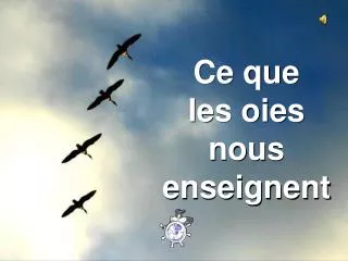 ce que les oies nous enseignent