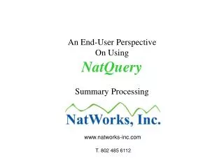 An End-User Perspective On Using NatQuery Summary Processing