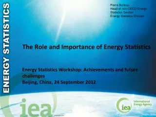 The Role and Importance of Energy Statistics