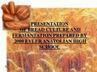 PRESENTATION OF BREAD CULTURE AND FERMANTATION PREPARED BY 2000 EVLER ANATOLIAN HIGH SCHOOL