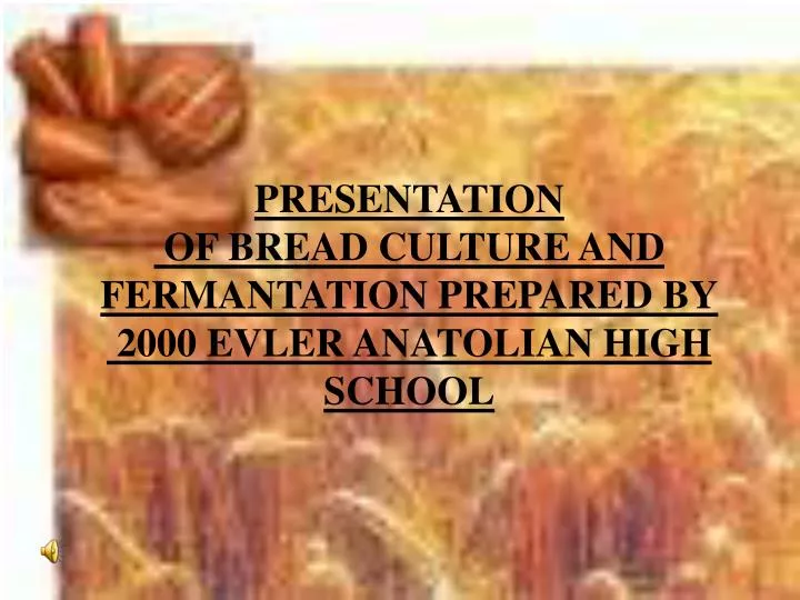 presentation of bread culture and fermantation prepared by 2000 evler anatolian high school