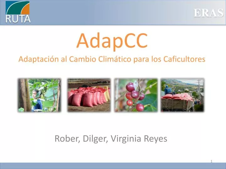 adapcc adaptaci n al cambio clim tico para los caficultores