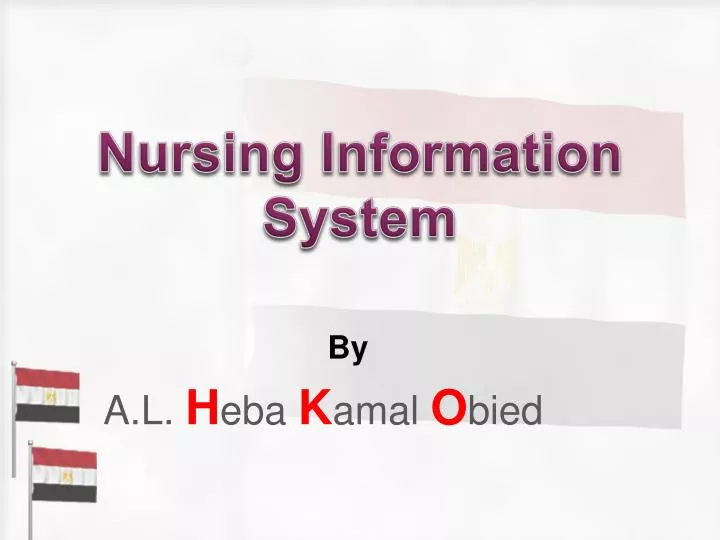 nursing information system