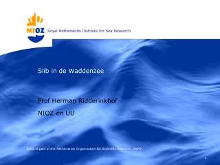 slib in de waddenzee