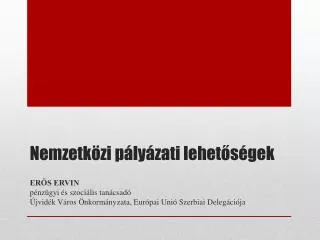 nemzetk zi p ly zati lehet s gek