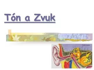 t n a zvuk