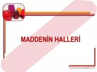 madden n haller