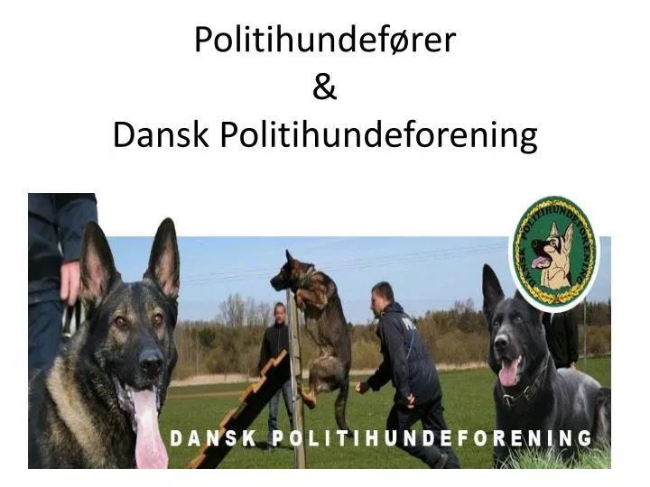 politihundef rer dansk politihundeforening