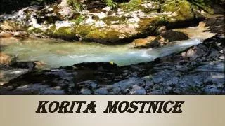 korita mostnice