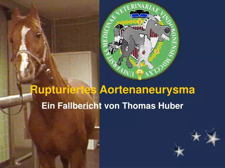 rupturiertes aortenaneurysma