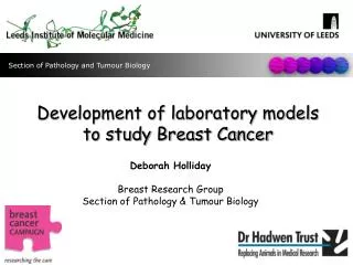 Development of laboratory models to study Breast Cancer
